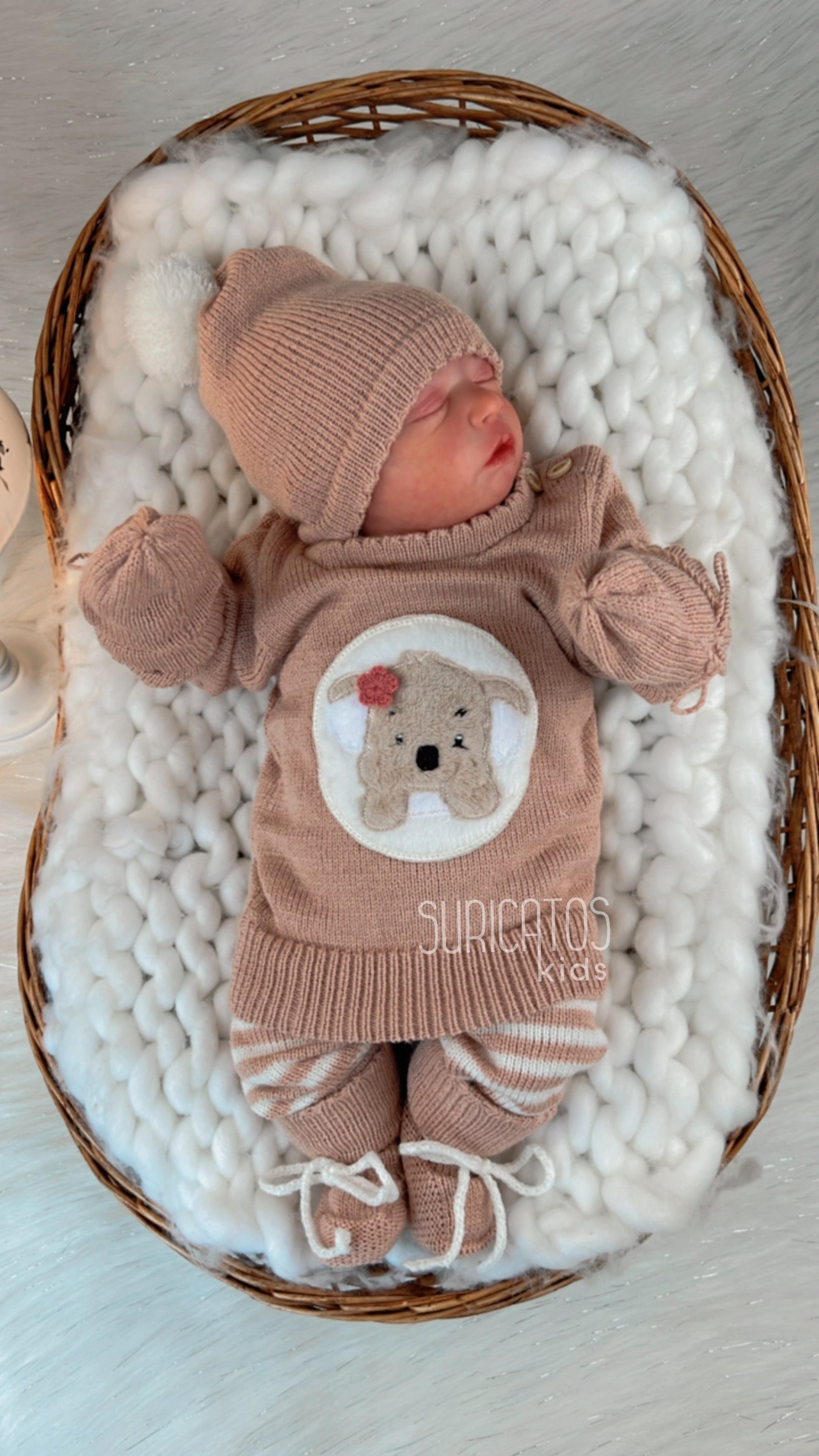 Primera Muda ternura de amor KOALA